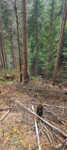 KHD Waldbrand Übung Breitenau 11.04.2026